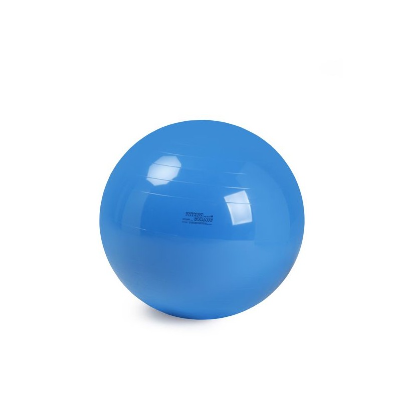 Ballons de rééducation Physio Gymnic - Gym et proprioception - Kinésithérapie