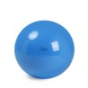 Ballons de rééducation Physio Gymnic - Gym et proprioception - Kinésithérapie