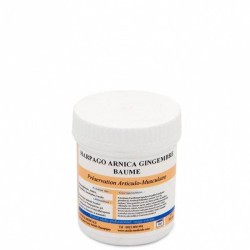 Baume Harpago Arnica Gingembre - 50 ml
