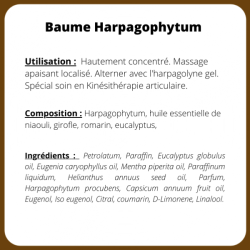 Baume de massage à l’Harpagophytum - 50 ml - Baume articulaire - Rééducation - Kinésithérapie - ETOILE MEDICALE