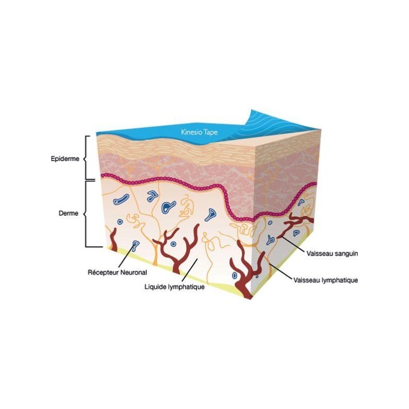 Kinesio Taping  Tex Gold FP 5 m - Rouleau de tape de rééducation - Kinésithérapie