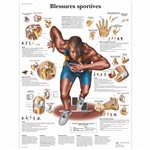 Planche anatomique - Blessures sportives