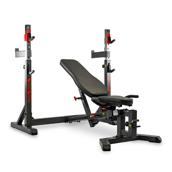 BH Fitness G510 - Banc de musculation polyvalent - Rééducation - Réathlétisation et fitness