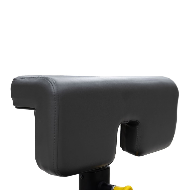 BH Fitness L880BB - Banc Sissy squat