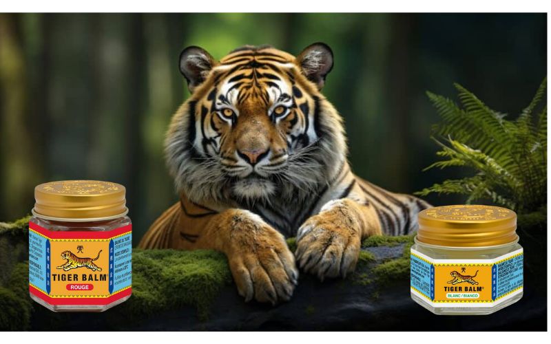 tigre avec pot de baume du tigre rouge et blanc